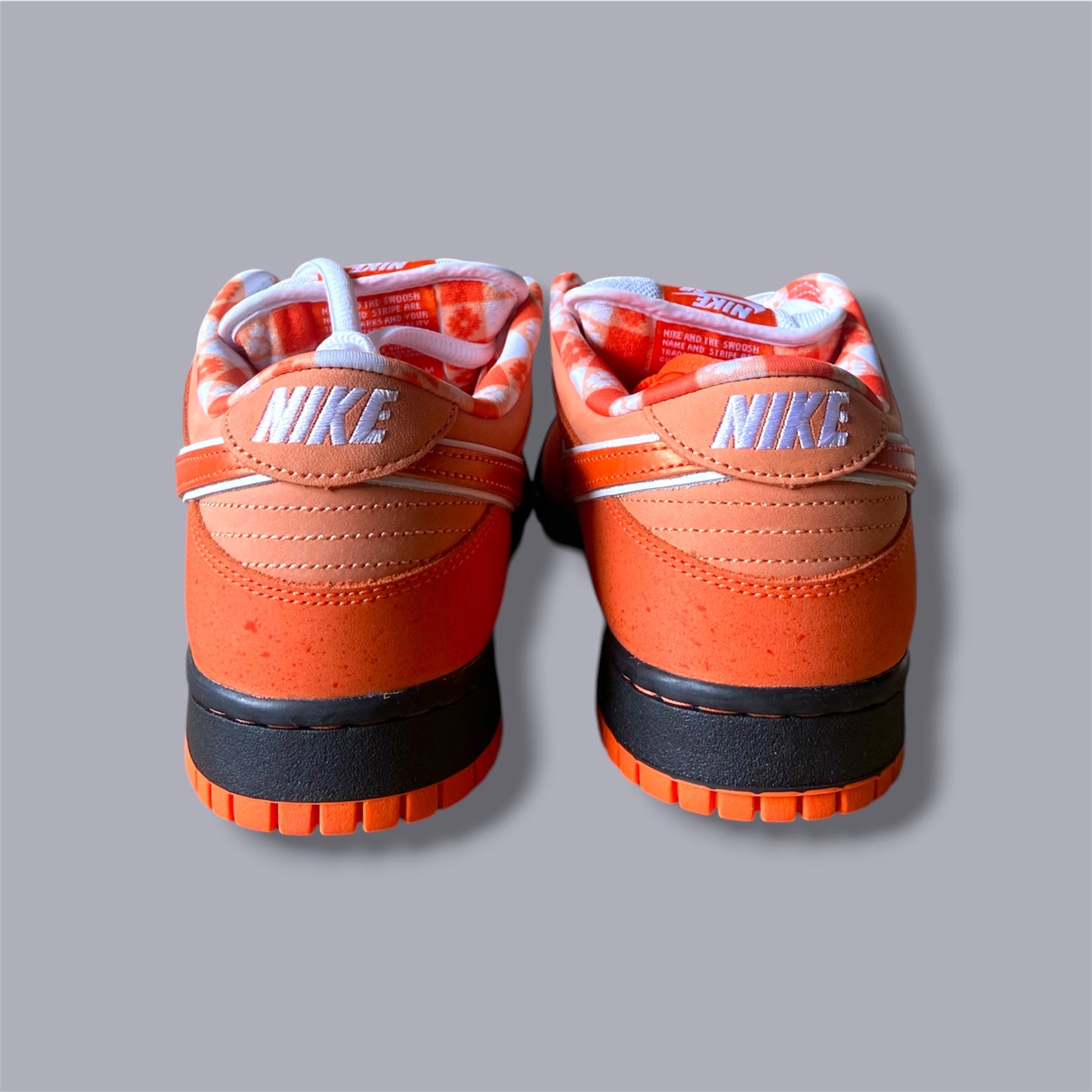 Nike SB Dunk Low x Concepts „Orange Lobster“ – EU 43 / US 9.5